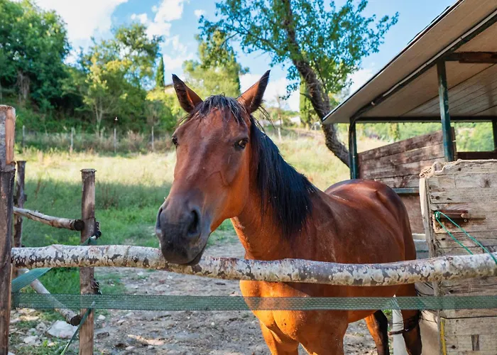 La Casetta Nel Bosco * Asyż